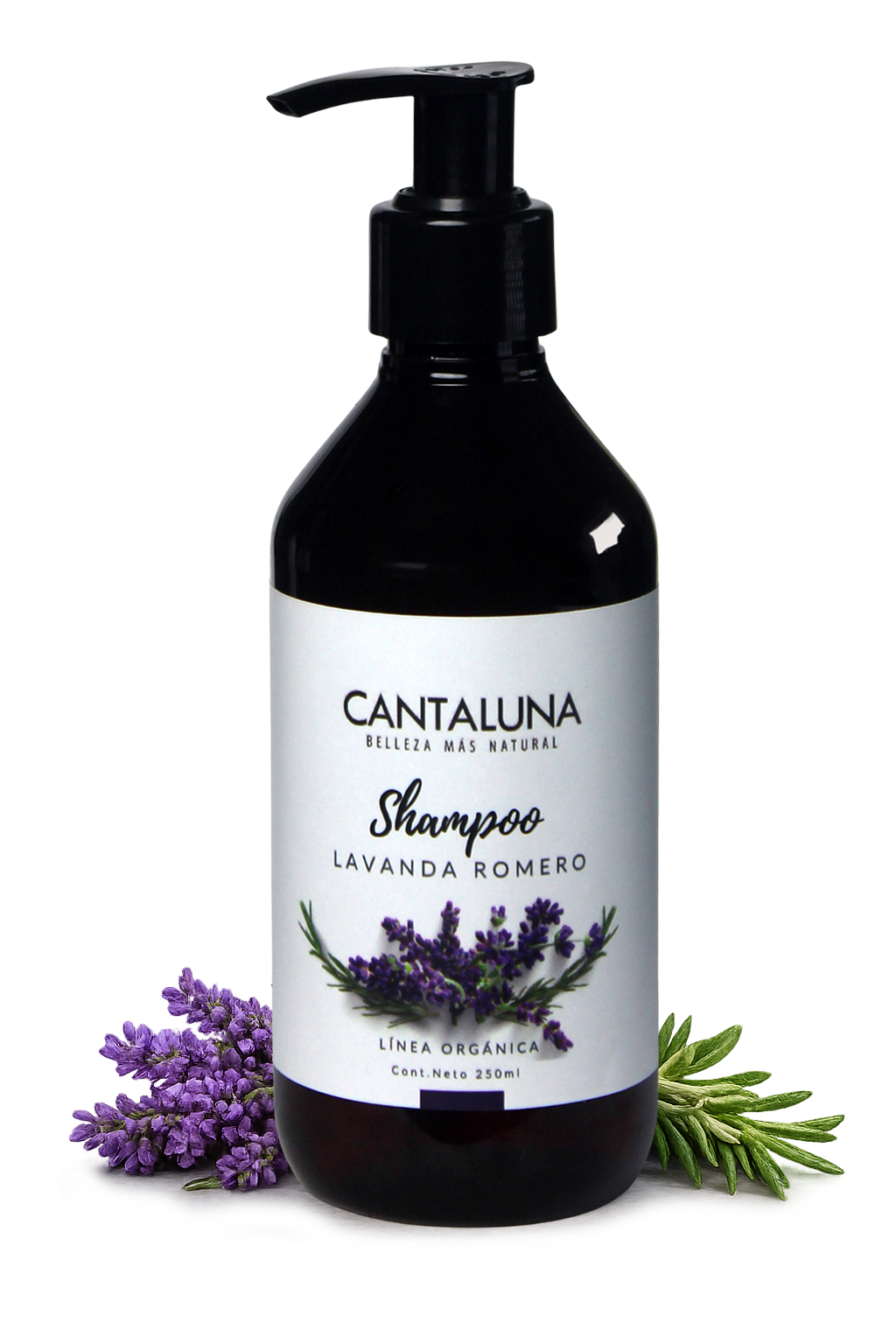 SHAMPOO LAVANDA-ROMERO